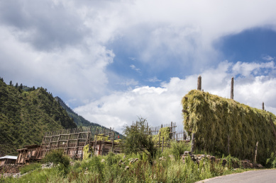 中国西藏高山草甸青稞晾晒架