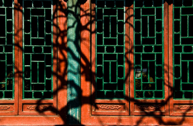 树影打在中国北京市颐和园皇家园林的古窗上