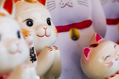 一群陶瓷的日本招财猫在展示柜里