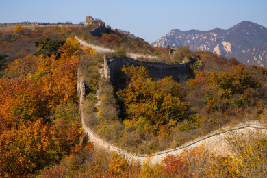 中国北京怀柔撞道口长城秋天秋色中国长城满山黄叶