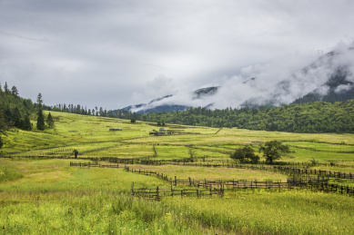中国西藏林芝市鲁朗镇扎西岗村