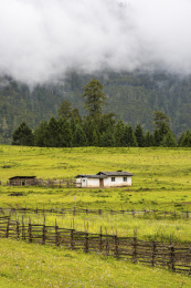 中国西藏林芝市鲁朗镇扎西岗村