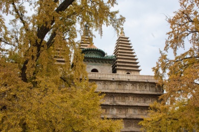 北京五塔寺真觉寺金刚宝座塔与古银杏树秋日风光