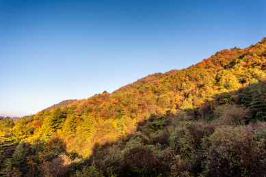 四川巴中南江光雾山十八月潭秋季红叶瀑布自然风光