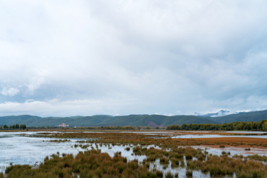中国云南省丽江市，长满水草的湿地自然风光