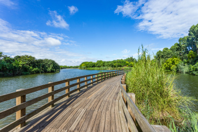 厦门五缘湾湿地公园