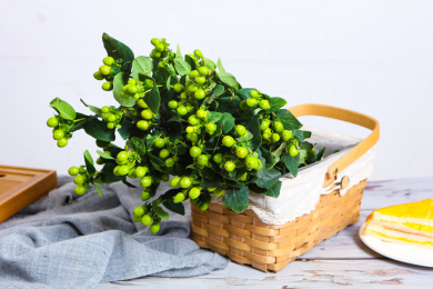 新鲜切花室内花艺绿色的龙珠果火龙珠