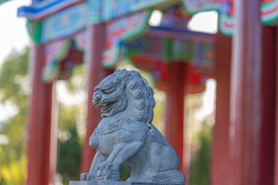 以中国古典建筑为背景的石狮子