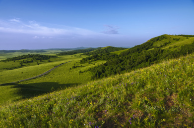 沐浴在晨光中的内蒙古乌兰布统草原风光