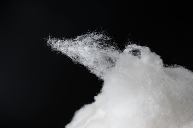 中国新疆长绒棉花材质细节特写