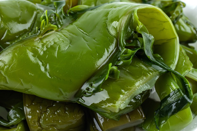 野生新鲜绿色海白菜梗特写