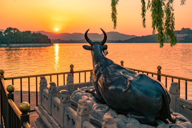 夕阳下北京颐和园铜牛铸像