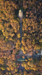 航拍秋天的南京钟山风景区灵谷寺