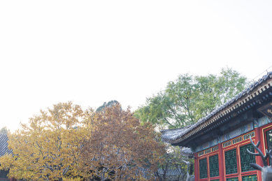 秋天夕阳下的北京颐和园公园的古宫殿