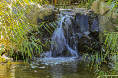 山东省济南市九如山风景区溪水