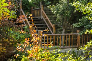 山东省济南市九如山瀑布群风景区实木栈道
