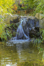 山东省济南市九如山风景区溪流
