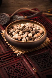 干货中药材——药材辣木籽