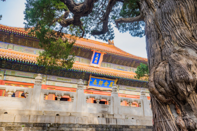 中国北京孔庙国子监大成殿建筑风光