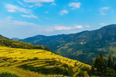 中国贵州黔东南加榜加车村秋季金黄色梯田与远山