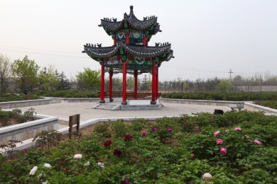 山东省菏泽市曹州牡丹园凉亭