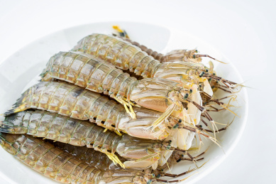 白背景上一碟新鲜的皮皮虾