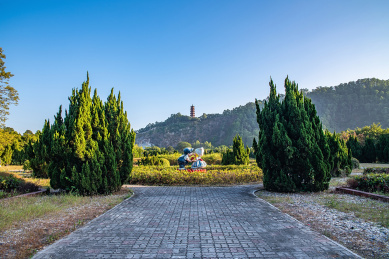中国广东省广州市南沙蒲州花园风景