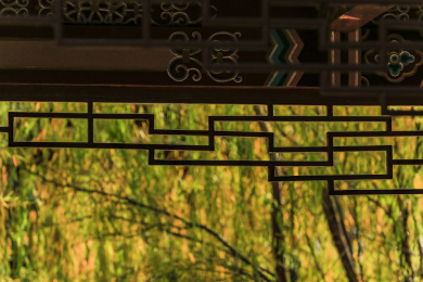 公园里深秋时节的自然风景