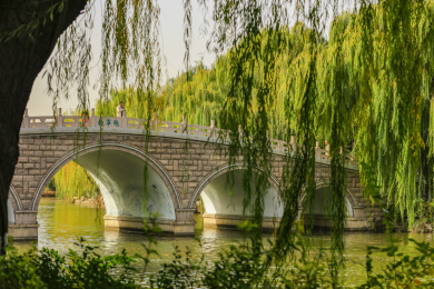 南京玄武湖情侣园_站酷海洛_正版图片_视频_字体_音