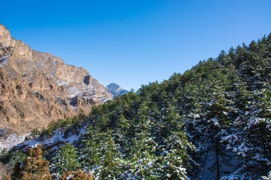 宁夏贺兰山苏峪口国家公园冬日雪后风光