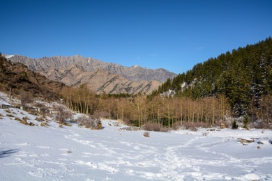 宁夏贺兰山苏峪口国家公园冬日雪后风光