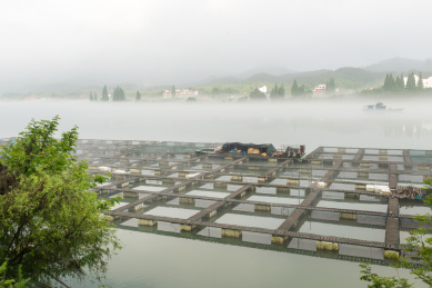 浙江建德下崖海边养殖基地