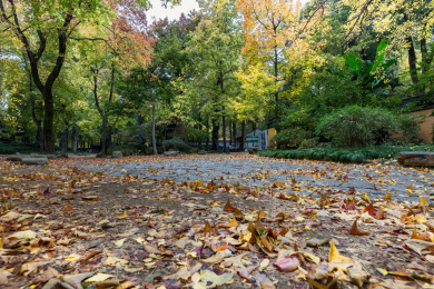 中国江苏省苏州市天平山秋天风景。