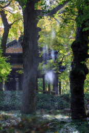 中国江苏省苏州市天平山秋天风景。