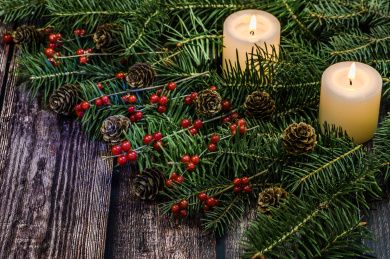 在木桌上的圣诞树和红浆果