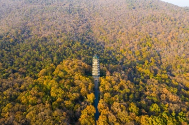 日落时南京紫金山脚下的灵谷寺灵谷塔航拍