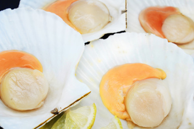 整齐摆放在一起的海鲜食材扇贝