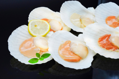 整齐摆放在一起的海鲜食材扇贝