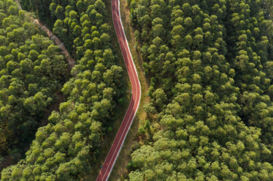 航拍俯视山顶一条红色沥青道路穿越茂密的树木