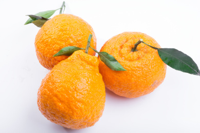 白色背景新鲜水果不知火柑橘