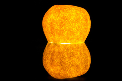 强光照射下闪闪发光的橘子皮