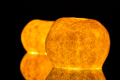 强光照射下闪闪发光的橘子皮