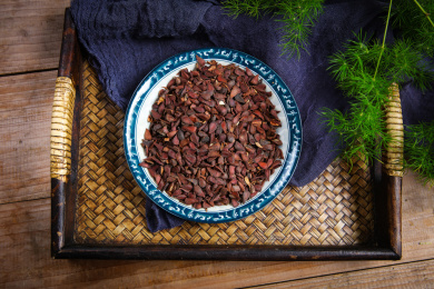 药用植物中医中药材木瓜核