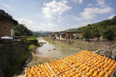 河岸两过的土楼和前景中曝晒的柿子，中国福建永定