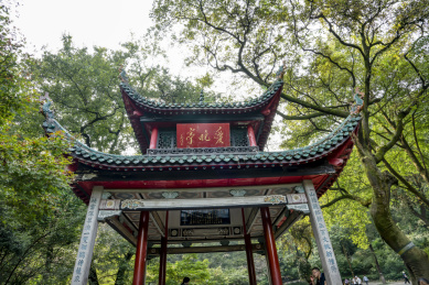 中国四大赏枫胜地－长沙岳麓山爱晚亭风光