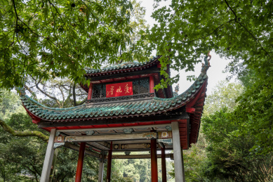 中国四大赏枫胜地－长沙岳麓山爱晚亭风光