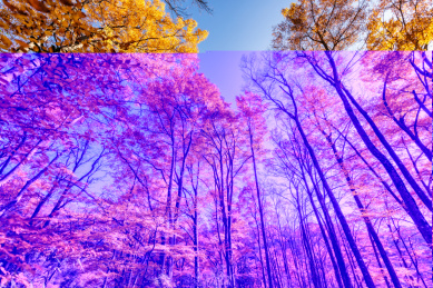 四川巴中光雾山十八月潭秋季红叶自然风光