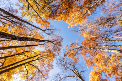 四川巴中光雾山十八月潭秋季红叶自然风光