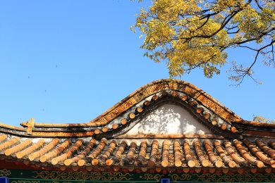 蓝天下冬日温暖的阳光照在中国古典建筑的屋顶和树叶上