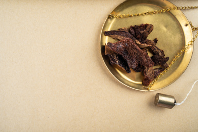 中医中药学概念图/铜秤盘上的中药材骨碎补  